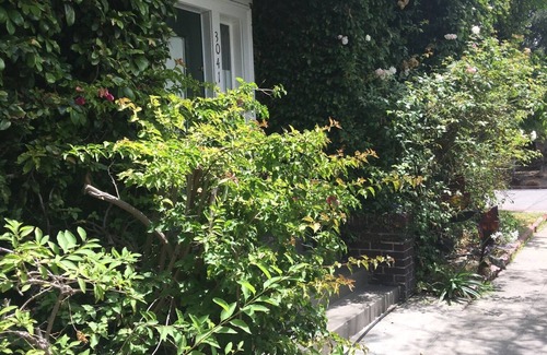 Elmwood House | Historic Edwardian 9 blocks to UC Berkeley Campus! 2 blocks to College Ave!