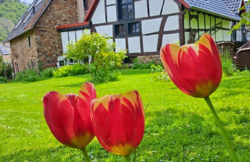 Antweiler Cottage | Historic Eifel country house with beautiful garden, sauna & fireplace
