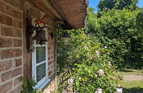 Born auf dem Darss House | Historisch und in Hafennähe Wohnen