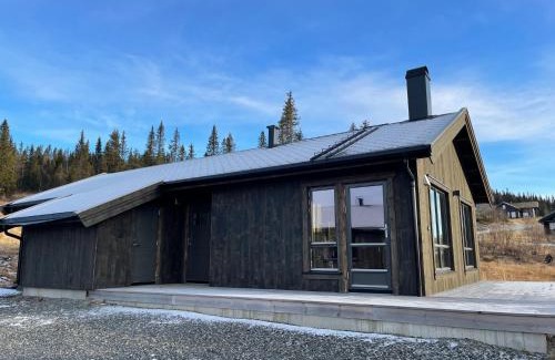 Nord-Torpa House | Hjertebo by Norgesbooking - cabin at Spåtind