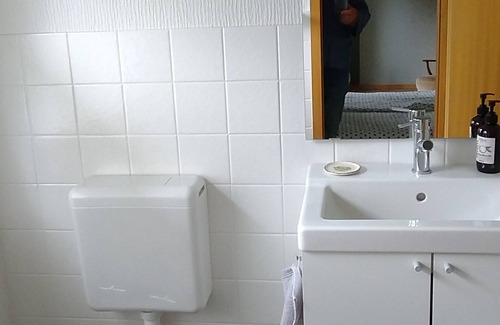 Bad Sachsa House | Hochwald- Spacious room with private shower, toilet, fridge, coffee/tea.