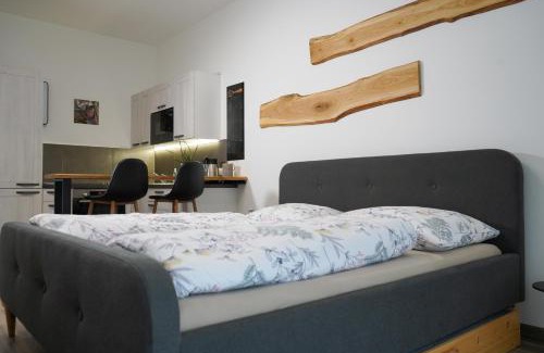 Cheb Apartment | Hofmann Apartment