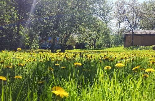 Carinerland House | Holiday Home for 8 guests with 120m² in Danneborth (58271)