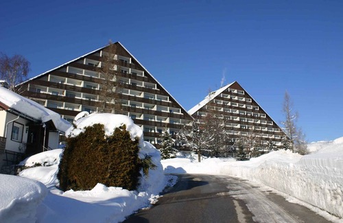 Bad Mitterndorf Apartment | Holiday apartment with wifi and heating