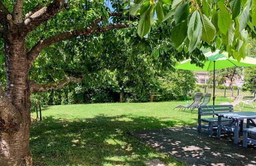 Bullay Apartment | Holiday apartment Bullay for 1 - 2 persons with 1 bedroom - Holiday apartment