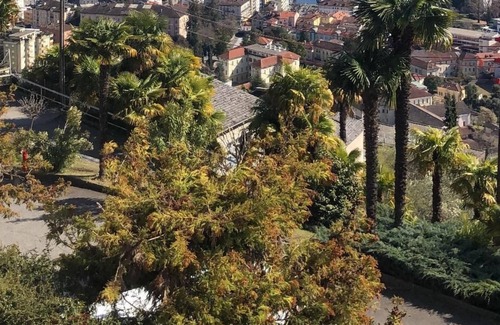 Locarno Apartment | Holiday apartment Locarno for 2 - 4 persons with 2 bedrooms - Holiday apartment