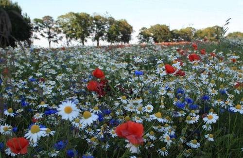 Liepe Apartment | Holiday apartment Rankwitz for 1 - 4 persons with 2 bedrooms - Holiday apartment