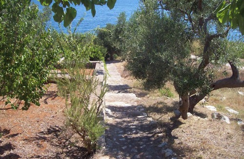 Corsano Cottage | Holiday cottage surrounded by olive trees at walking distance to the beach