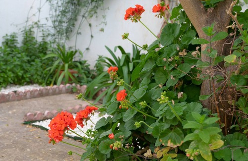 Ardales House | Holiday Home 'Ardales' with Mountain View, Wi-Fi and Air Conditioning