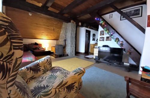 Kopaonik House | Holiday Home Dana Kopaonik