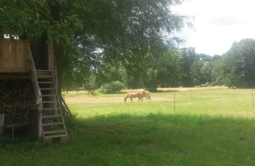 Ragow House | Holiday home "Unterm Apfelbaum"/boat tour/bike tours, everything is possible/140 € per night