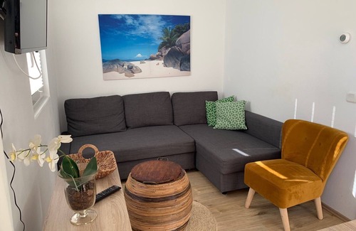 Onderdijk House | Holiday home De Wickinger with your own Steiger angler are welcome!