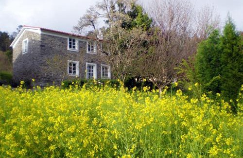 Mino House | Holiday Home El Olivo by Interhome