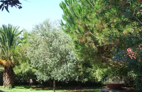 Giannella Apartment | Holiday Home Giannella - Holiday Home Giannella