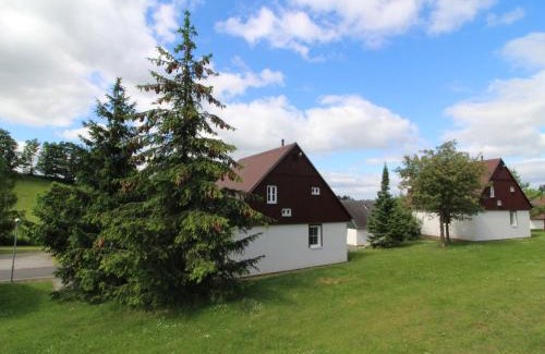 Cerny Dul House | Holiday Home Holiday Hill by Interhome