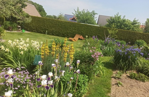 Dobin am See House | Holiday home in a beautiful garden, near the Baltic Sea and the state capital
