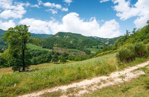Parchiule House | Holiday Home in Città di Castello with Pool