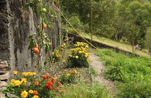 Melles House | Holiday Home 'Pays De L'ours - Pyrénées' with Mountain View, Private Terrace and Wi-Fi