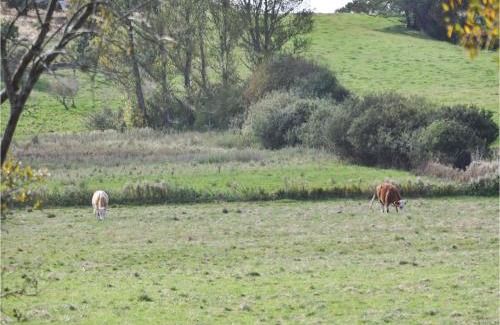 Hornbaek House | Holiday Home Solbakkevej Hornbæk Xii