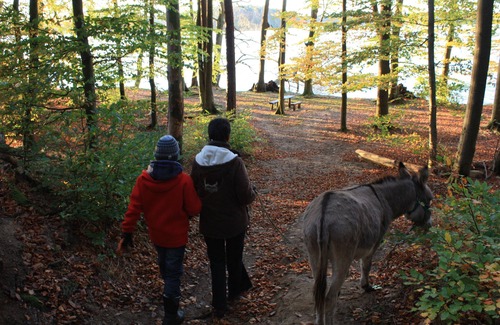 Dagow House | Holiday house Ahlrep Neuglobsow/Dagow/Stechlinsee/Mecklenburg Lake District