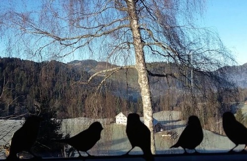 Hemberg House | Holiday house Bächli for 1 - 8 persons with 3 bedrooms - Detached holiday house
