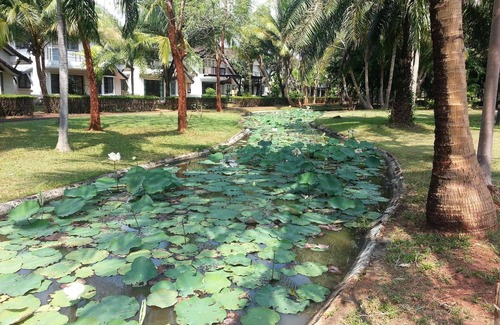 Map Ta Phut House | Holiday house Chak Phong for 1 - 6 persons with 3 bedrooms - Luxury holiday home