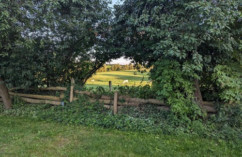 Gerswalde House | Holiday house Gerswalde for 1 - 6 persons with 2 bedrooms - Holiday house