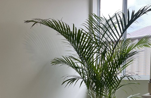 Bayonet Head House | Holiday House in Albany