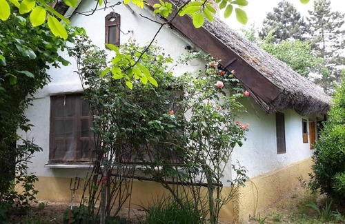 Keszthely House | Holiday house Keszthely for 1 - 4 persons with 1 bedroom - Holiday home
