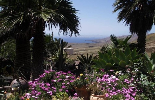 La Asomada House | Holiday house La Asomada for 1 - 6 persons with 3 bedrooms - Holiday home