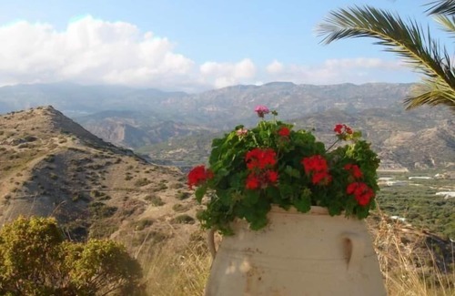 Myrtos House | Holiday house Myrtos for 12 - 18 persons with 6 bedrooms - Row house