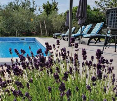 Presika House | Holiday House OLIVE GROVE with pool and garden