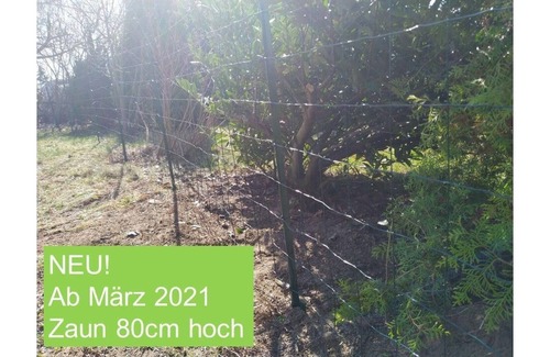 Stahlbrode House | Holiday house Stahlbrode for 1 - 2 persons with 1 bedroom - Holiday house