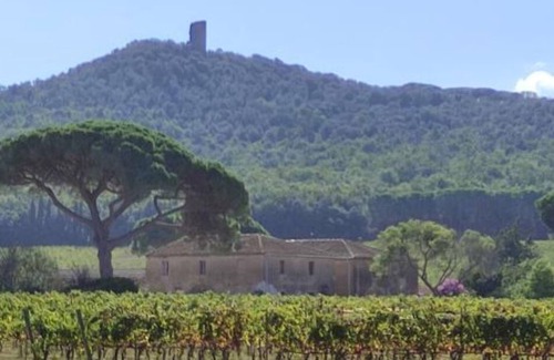 Ex Campo d'Aviazione House | Holiday house Viareggio for 1 - 4 persons with 2 bedrooms - Holiday home