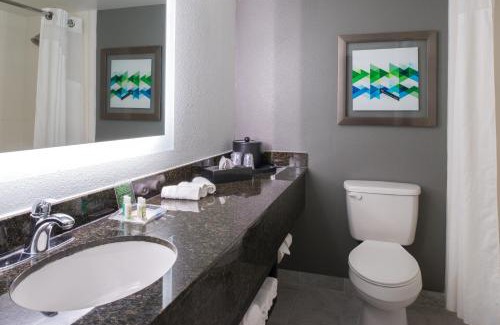 Beaumont Hotel | Holiday Inn Hotel and Suites Beaumont-Plaza I-10 & Walden by IHG