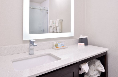 Addison Hotel | Holiday Inn & Suites Dallas-Addison by IHG