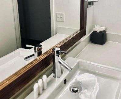 Greenwich Hotel | Holiday Inn Virginia Beach - Norfolk by IHG