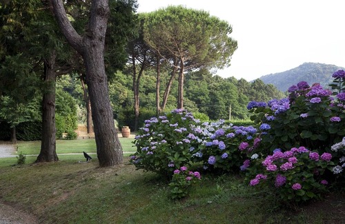 Balbano Villa | holiday vacation villa rental italy, tuscany, lucca area, near forte dei marmi, holiday vacation villa to rent italy, tu