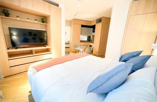 Lastarria Apartment | HOM I LOFT ubicado en el corazon de Stgo Lastarria