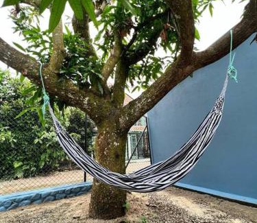 Acacias House | Home Acacias