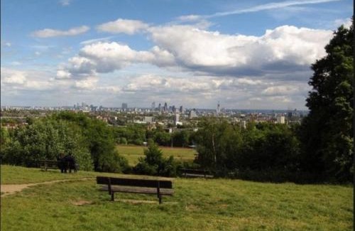 Frognal and Fitzjohns Apartment | Homely 2 Bedroom Victorian Apartment in Hampstead