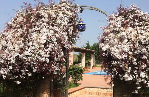 Grammichele Apartment | Homerez - Beautiful studio for 2 ppl. with shared pool at Grammichele