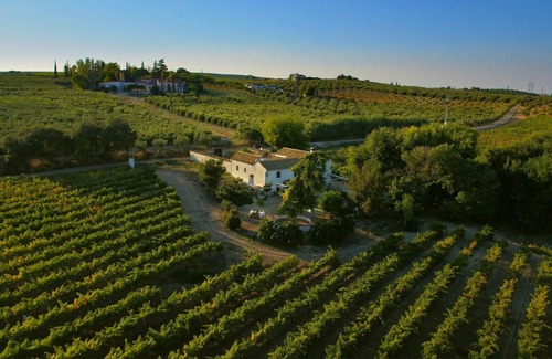 Montilla Villa | Homerez - Big villa for 16 ppl. with swimming-pool at Montilla