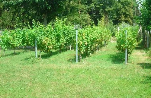 Eymet Apartment | Homerez - Cozy Studio in Eymet