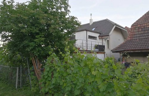 La Neuveville House | Homerez - House in La Neuveville