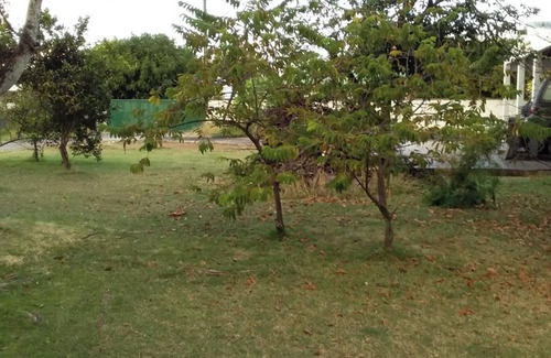 Les Mangles House | Homerez - House in Les Mangles