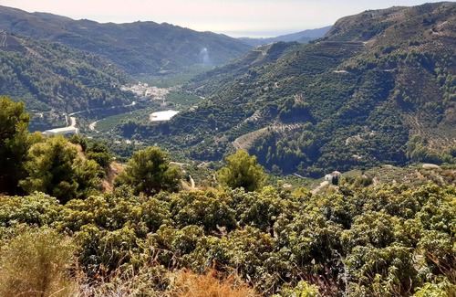 Otivar House | Homerez - Nice house with terrace and mountain view