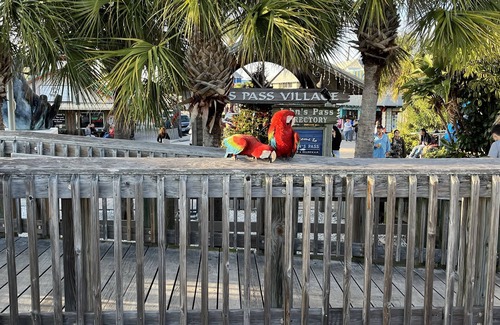 Homosassa Apartment | Homosassa: Home of the Manatee, spacious 900 square foot, 1 bedroom, furnished