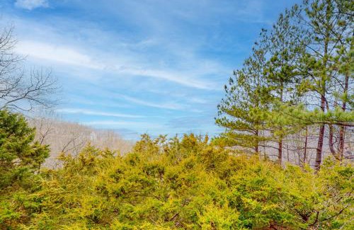 Sylvan Shores House | Honey Creek