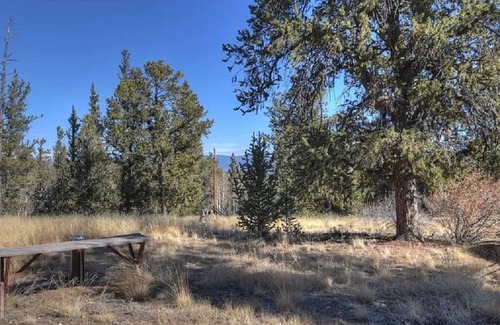 Indian Mountain House | Honeydome Hideaway on 2 acres, close to fishing & national forest w/ATV trails.
